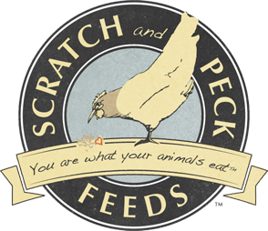 Scratch N Peck logo