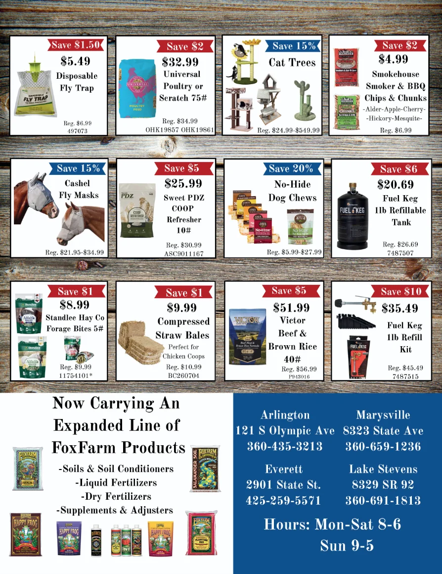 2026 May Flyer pg2