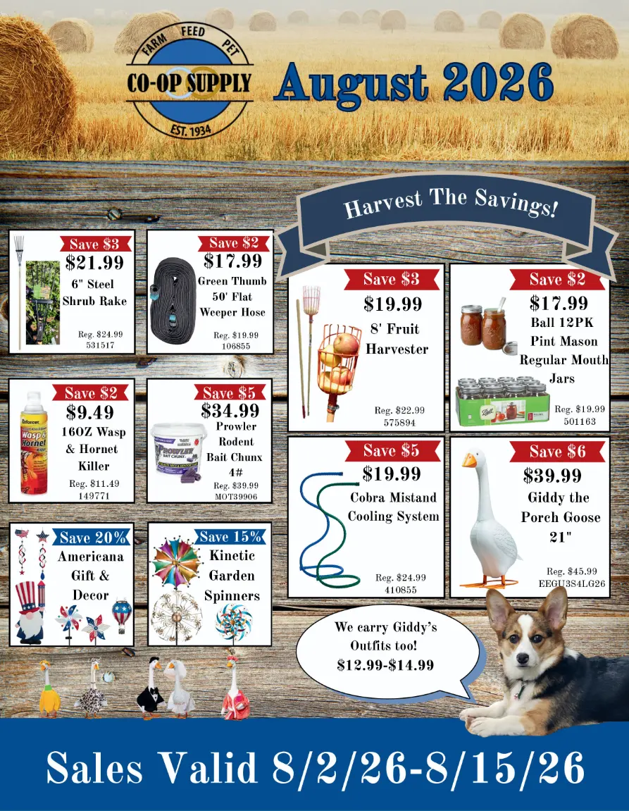 2026 August Sales Flyer Final-pg1