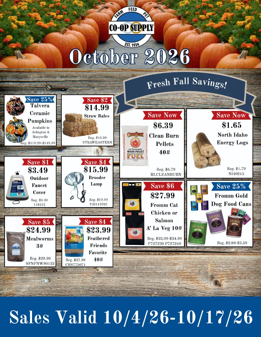 2026-october-flyer-pg1