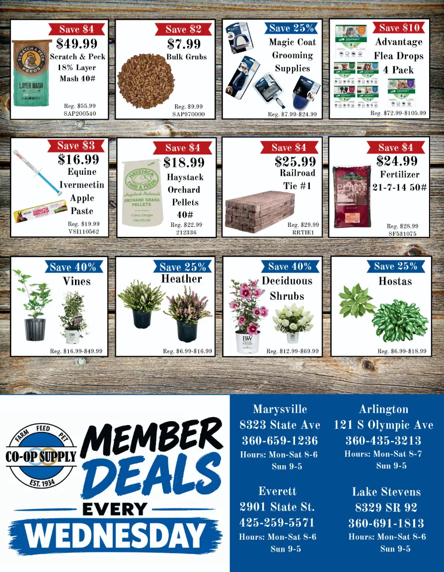 2026-october-flyer-pg2